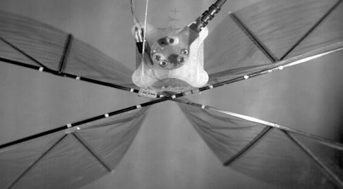 ornithopter model