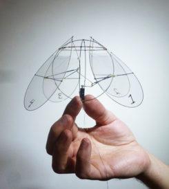 A model ornithopter that moves like a jellyfish.
