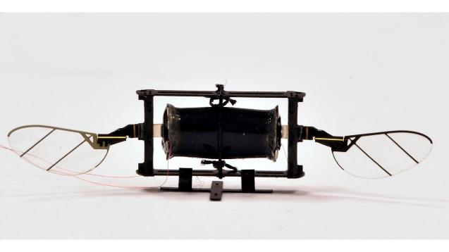 front of MIT's microaerial-vehicle, a mini drone